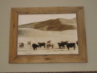 Click to enlarge Photograph of cows